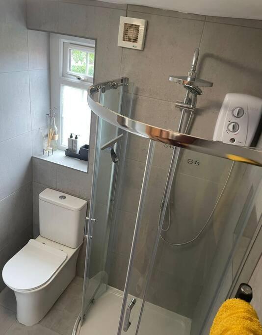 Netherton Studio Apartment 2 Rhôs-on-Sea Buitenkant foto
